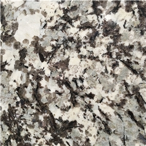 Bullnosed Edge Splendor White Granite Counter Tops