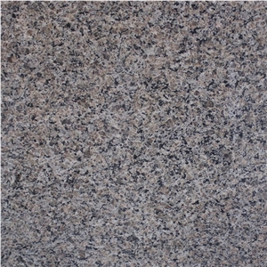 Caledonia Granite Slabs
