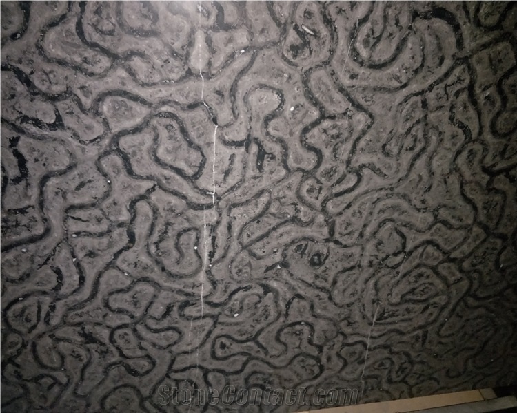 China Black Turtle Venato Marble Slab