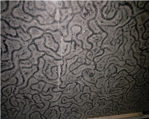 China Black Turtle Venato Marble Slab China Black Turtle Venato Marble Slab