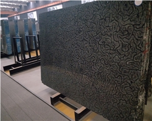 China Black Turtle Venato Marble Slab