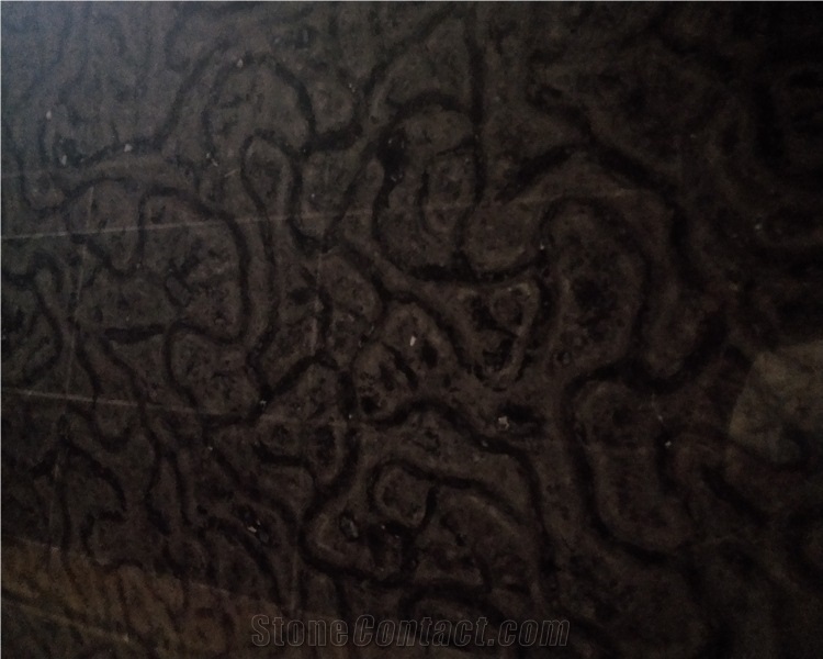 China Black Turtle Venato Marble Slab