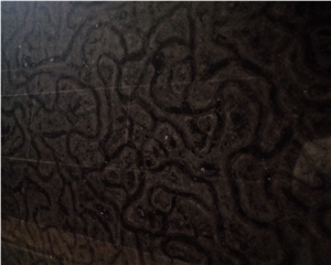 China Black Turtle Venato Marble Slab