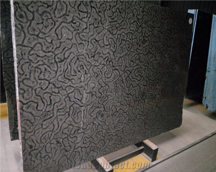 China Black Turtle Venato Marble Slab