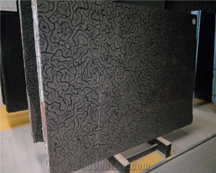 China Black Turtle Venato Marble Slab