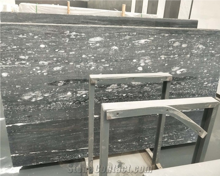 Chinese Ocean Star Marble