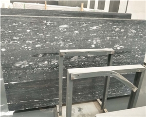 Chinese Ocean Star Marble Chinese Ocean Star Marble