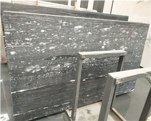 Chinese Ocean Star Marble