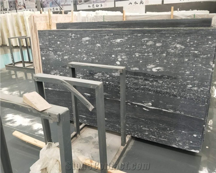 Chinese Ocean Star Marble