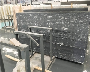 Chinese Ocean Star Marble
