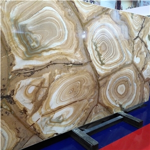 Espinella Gold Quartzite 2 cm Slabs