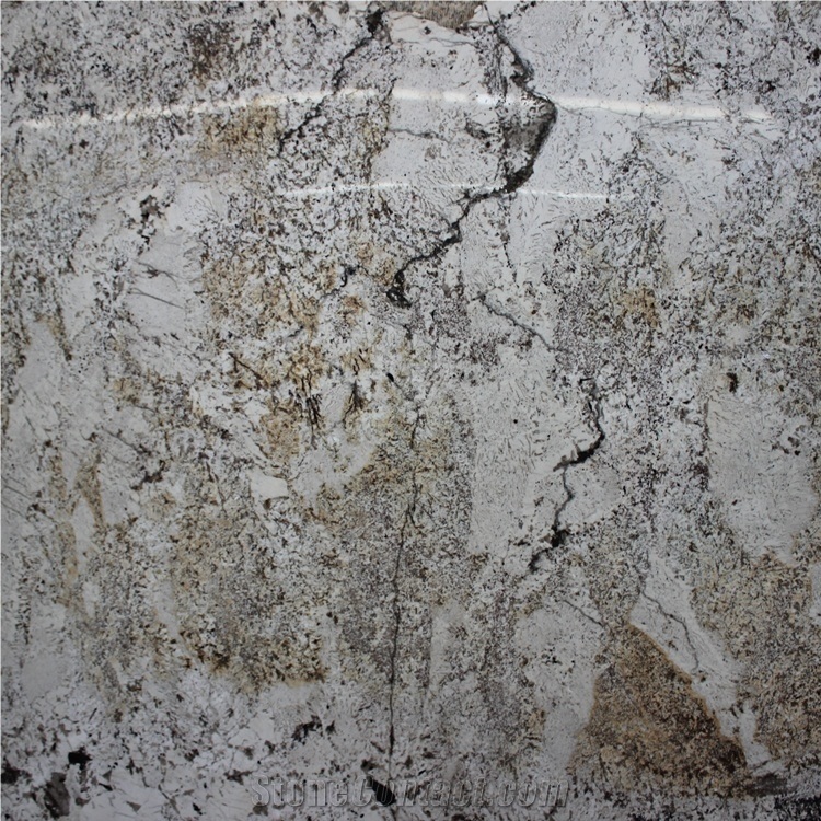 Everest White Granite Slabs