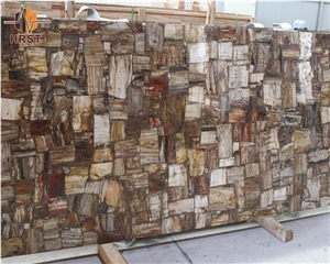 Fossil Stone Petrified Wood Slab