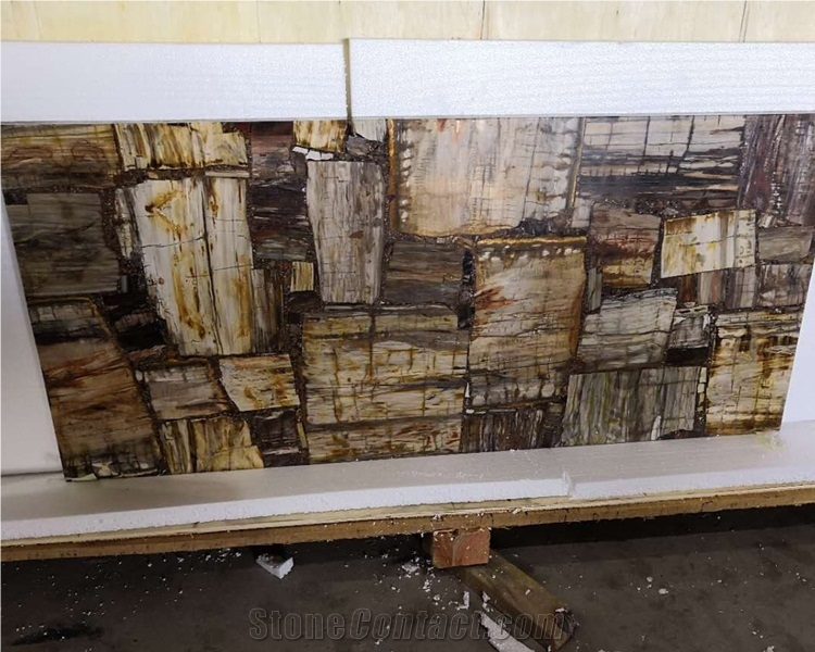 Fossil Stone Petrified Wood Slab