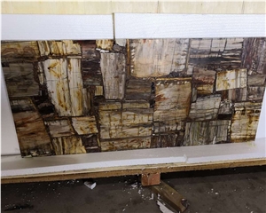 Fossil Stone Petrified Wood Slab