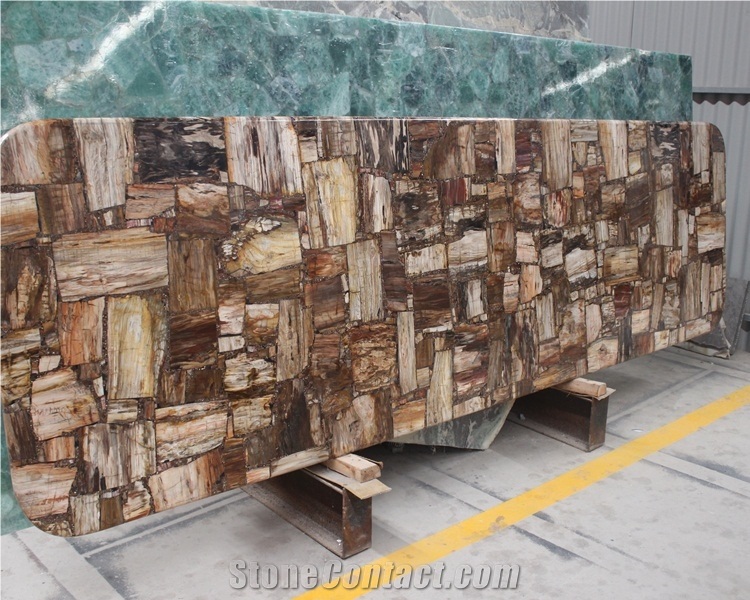 Fossil Stone Petrified Wood Slab