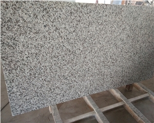 G439 Grey Granite Countertop for Kitchen