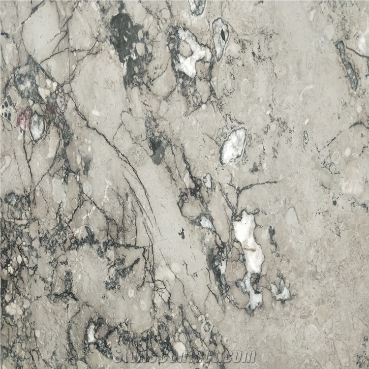Grey Wolf Lido Marble Slab