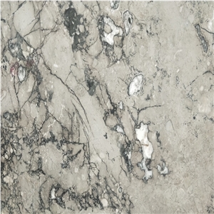 Grey Wolf Lido Marble Slab