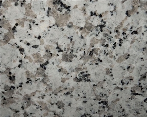 High Quality Bala White Granite Slab