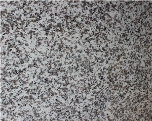 High Quality G439 Granite Slab
