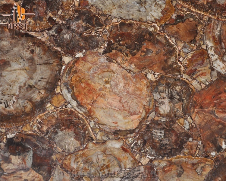 High Quality Petrified Wood Stone Table Top