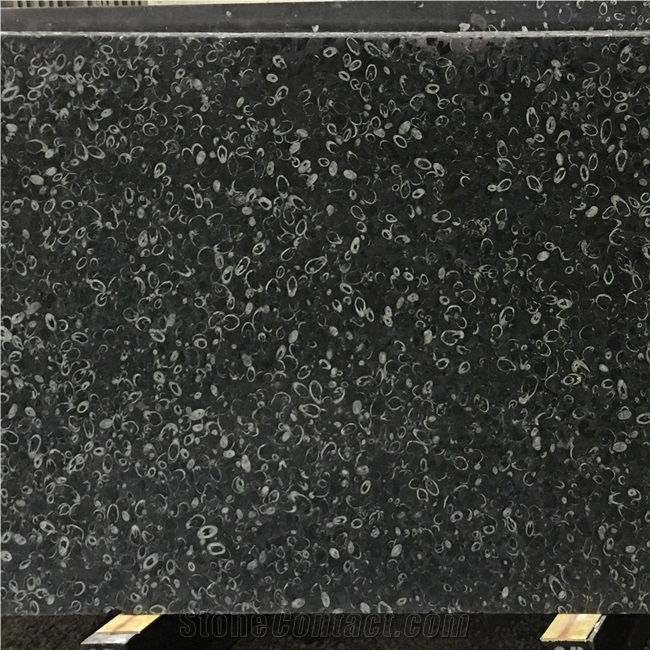 High Quality Sea Shell Flower Marble for Wall