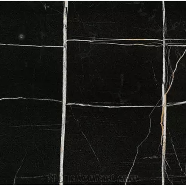 Imported Noir Serpents Marble Slab
