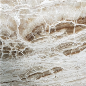 Light Brown Wood Marble Slab Light Brown Wood Marble Slab