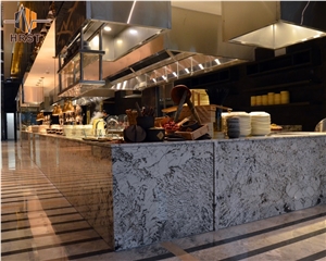 Natural Granite Alpinus White Granite Countertop