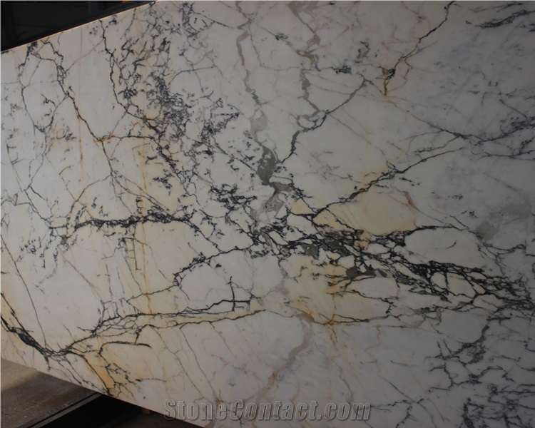 Natural Polished Paonazzo White Marble Slab