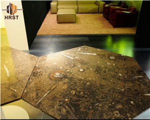 Natural Stone Fossil Black Stone Countertop