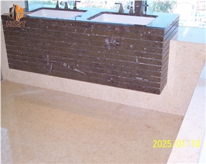 Natural Stone Fossil Black Stone Countertop