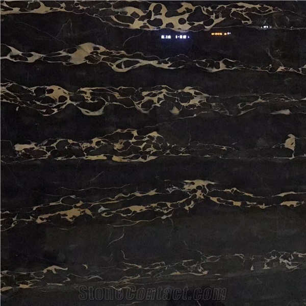 Nero Portoro Vena Larga Marble