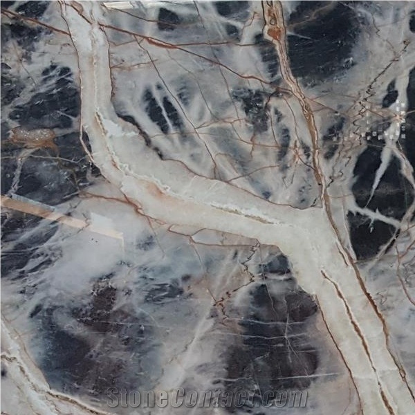 Polished Jungle Black Marble Slab