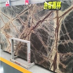 Polished Rainforest Green Marble Slabs and Tiles