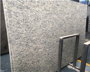 Santa Cecilia Light Granite Slabs