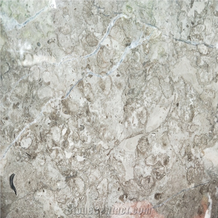 Scotland Gery Marble Slab