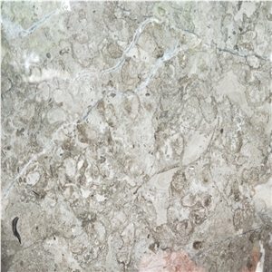 Scotland Gery Marble Slab