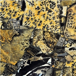 Semiprecious Yellow Fossil Stone Slabs