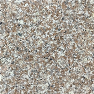 China Polished G664 Misty Brown Granite Tiles