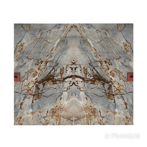 Espinella Gold Quartzite Book Match Slabs