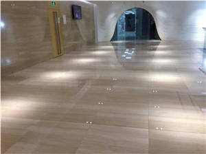 Italy Serpeggiante Chiaro Marble Lobby Floor Tiles