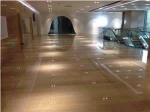 Italy Serpeggiante Chiaro Marble Lobby Floor Tiles