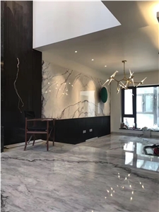 Polished Carrara Grey Marble Walling Covering Tile