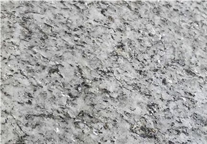 Lodrino Gneiss Slabs & Tiles, Switzerland White Gneiss