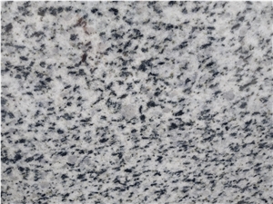Bianco Halayeb Granite Blocks