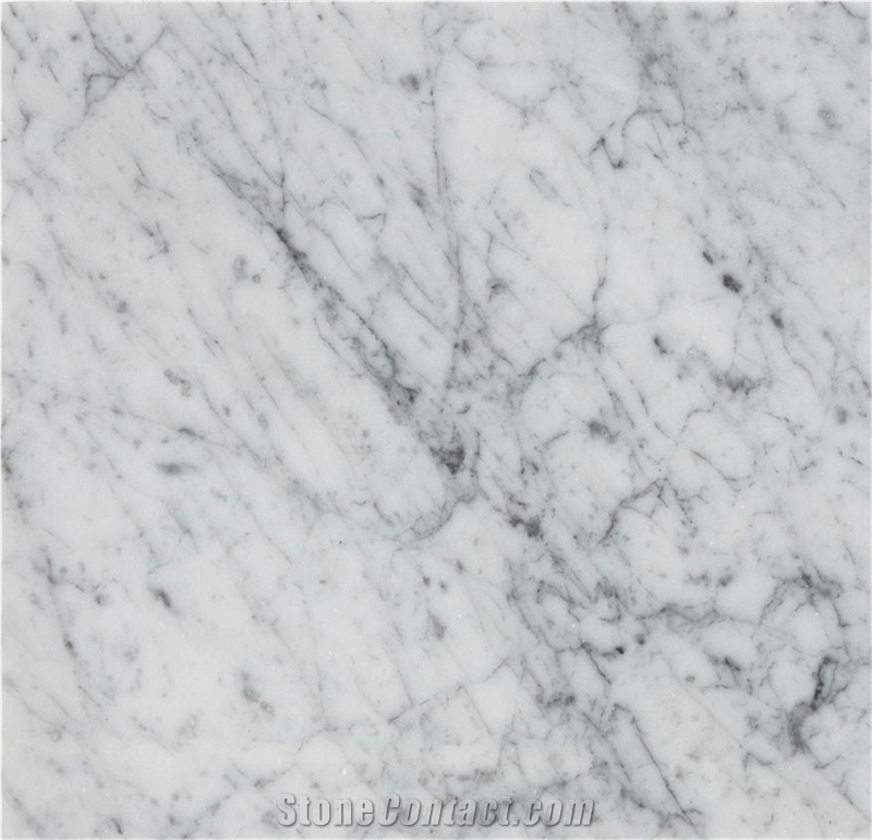Italy Bianco Carrara Marble Slabs Price