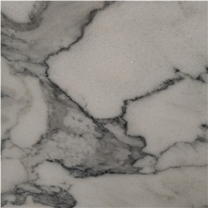 Polished China Arabescato Marble Slab Price