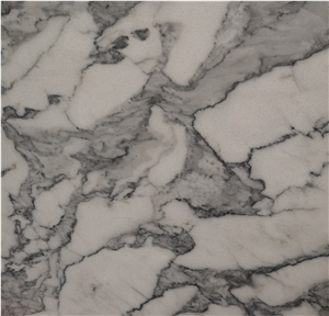 Polished China Arabescato Marble Slab Price